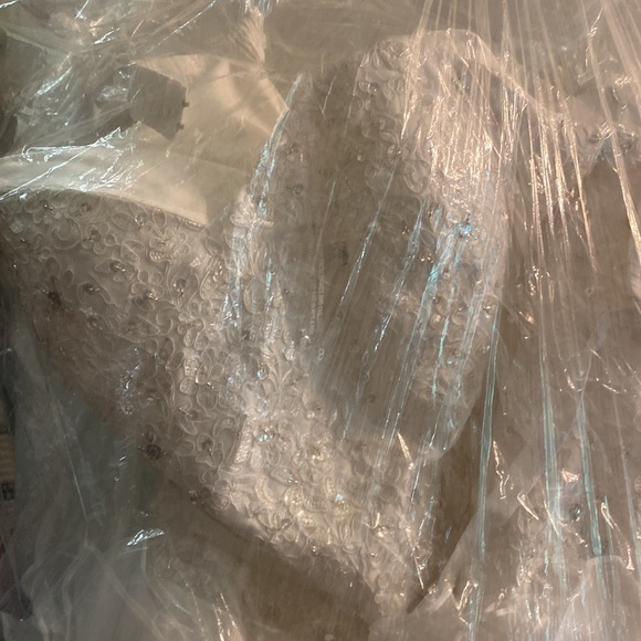 Wedding dress plus size for sale with all the accessories and bridesmaids dk pur - Picture 3 of 10